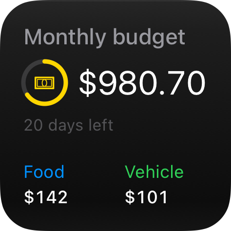 Budget widget at the small size: $980.70 remaining with 20 days left, above Food $142 and Vehicle $101.